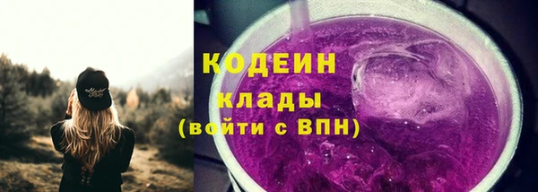 ГАЛЛЮЦИНОГЕННЫЕ ГРИБЫ Михайлов