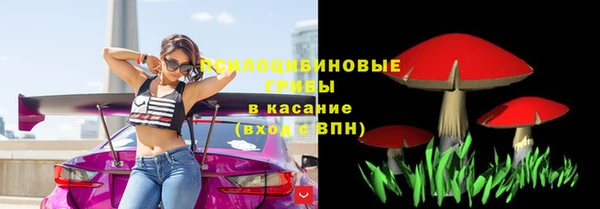 соль ск Михайловск