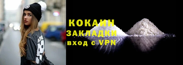 ГАЛЛЮЦИНОГЕННЫЕ ГРИБЫ Михайлов