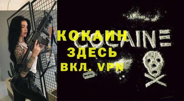 ГАЛЛЮЦИНОГЕННЫЕ ГРИБЫ Михайлов