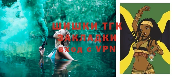 ГАЛЛЮЦИНОГЕННЫЕ ГРИБЫ Михайлов