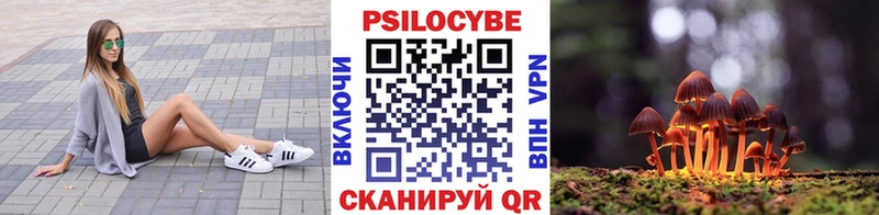 купить наркоту  Остров  Псилоцибиновые грибы GOLDEN TEACHER 
